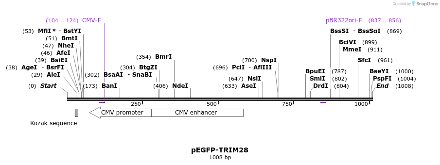 64465_map