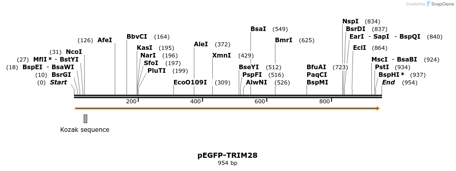 64466_map