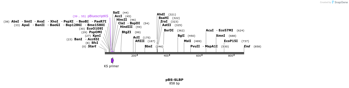 64469_map