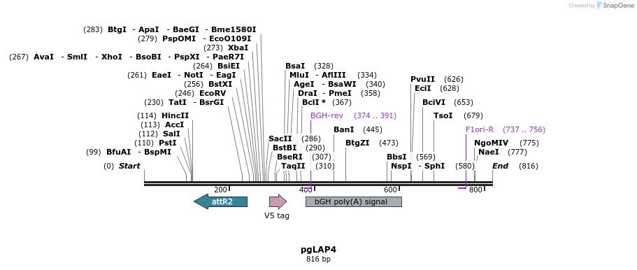 64471_map