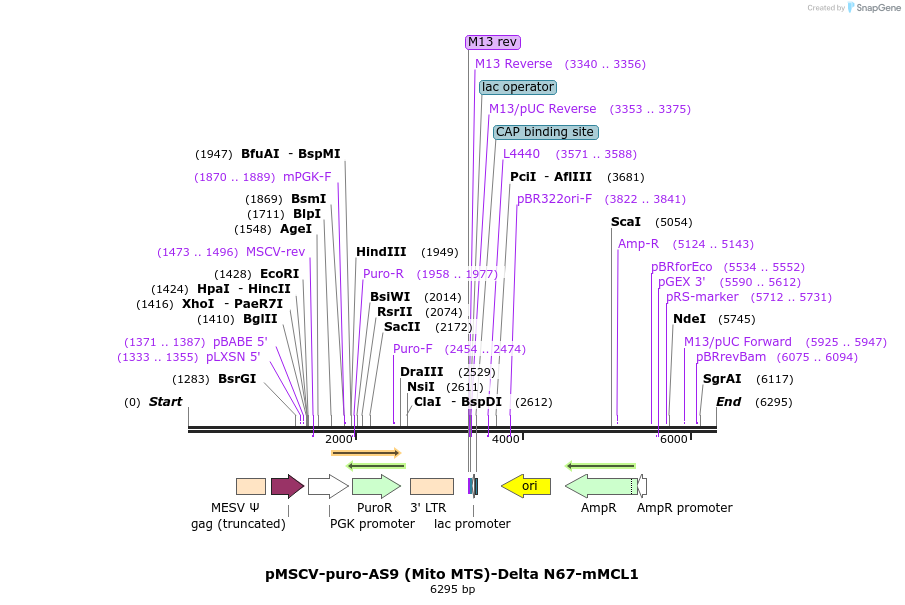 64484_map