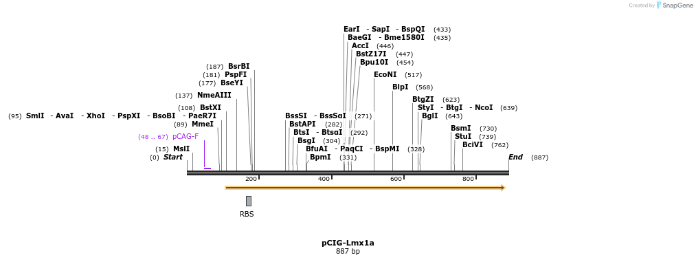 64491_map