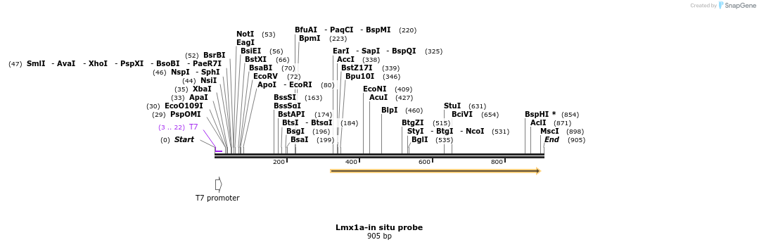 64492_map