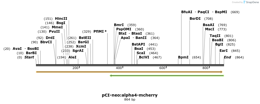 64495_map