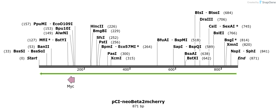 64499_map