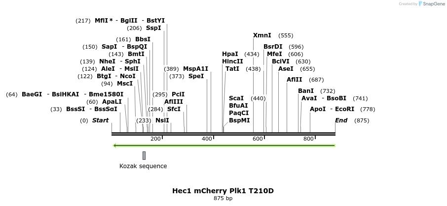 64502_map