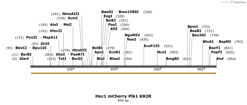 64504_map