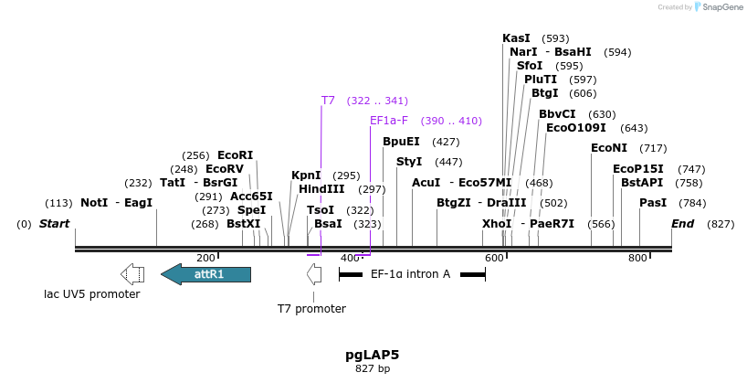 64508_map