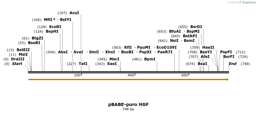 64513_map