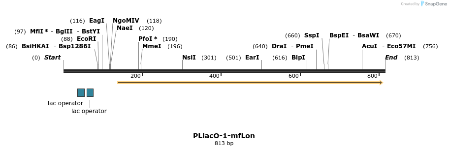 64524_map