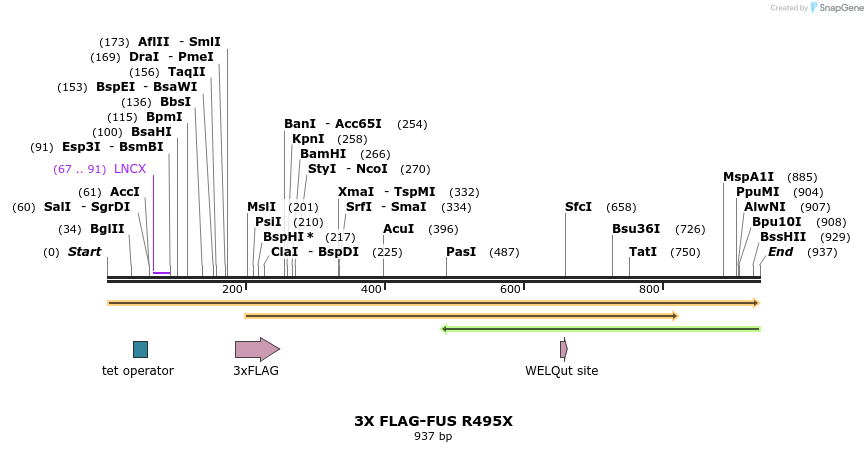 64527_map