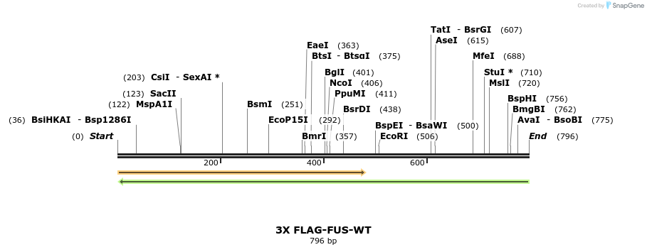64529_map