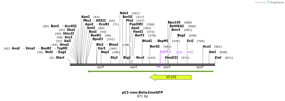 64530_map
