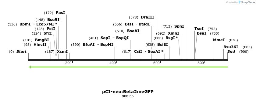 64533_map