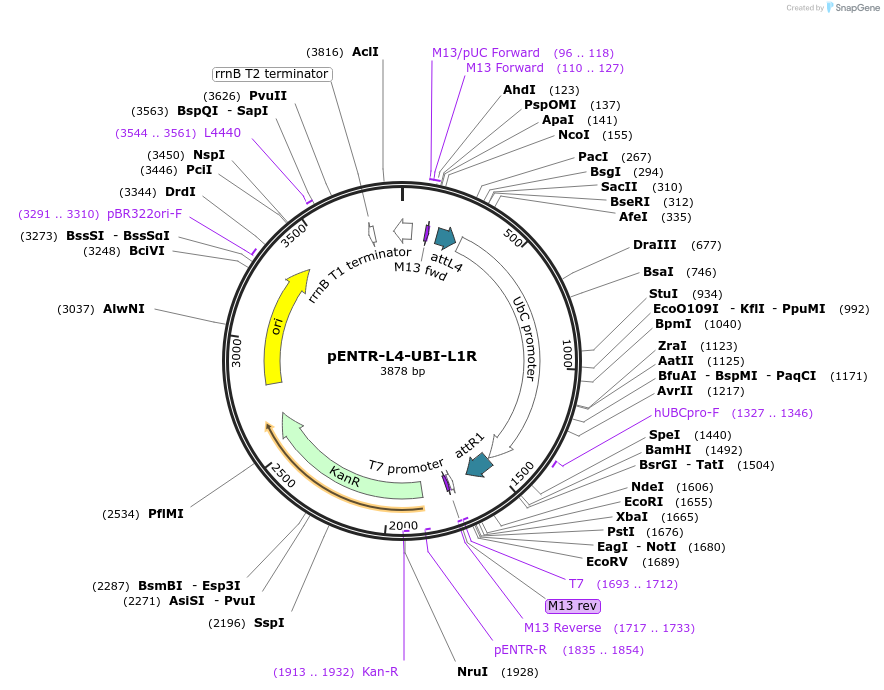 64552_map