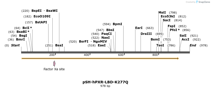 64558_map