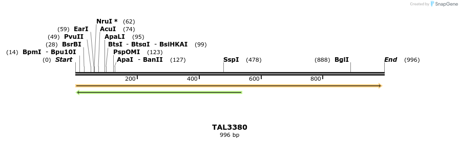 64571_map