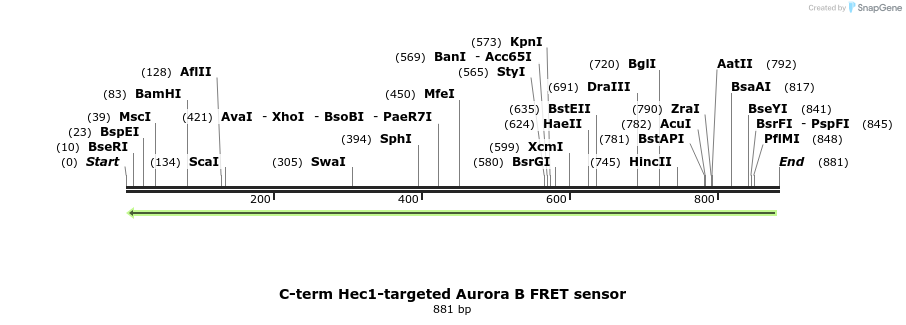 64575_map