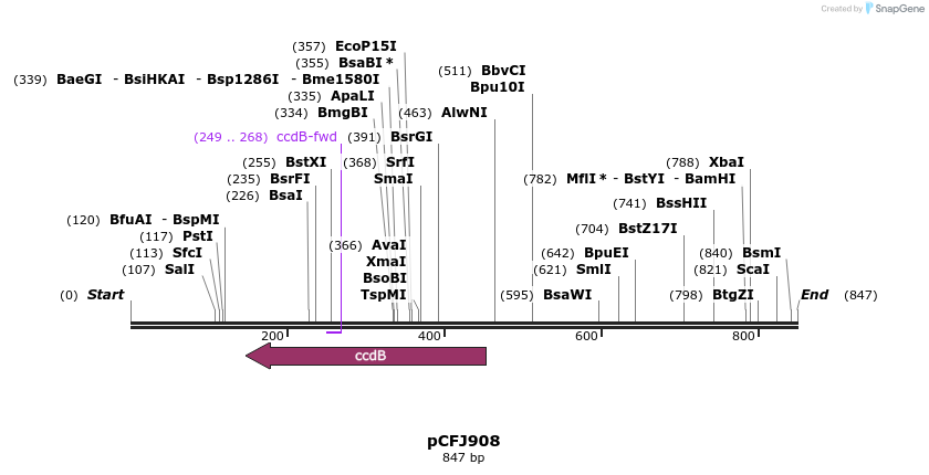 64578_map