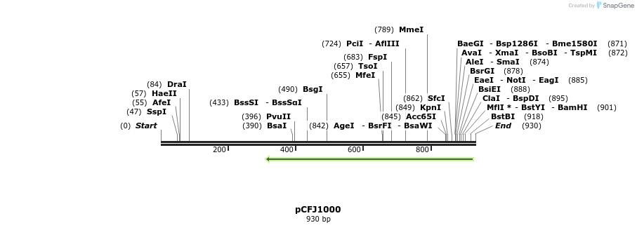 64580_map