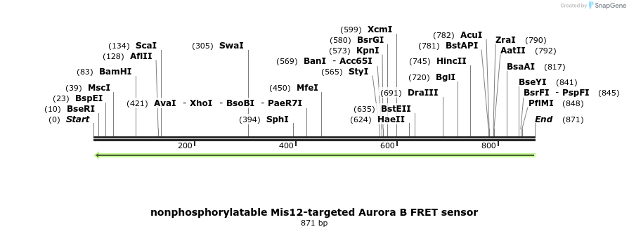 64581_map