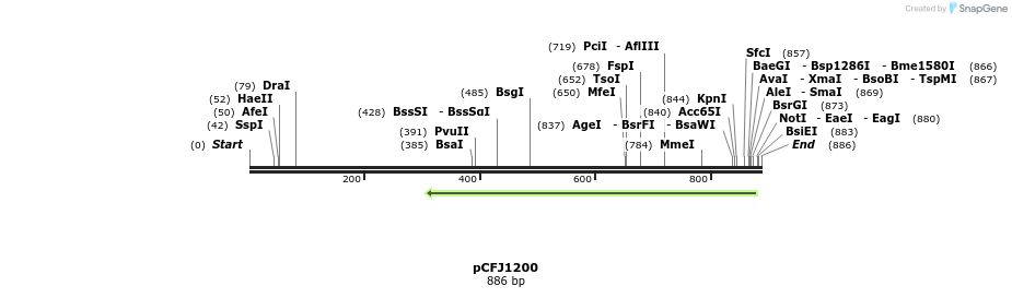64587_map