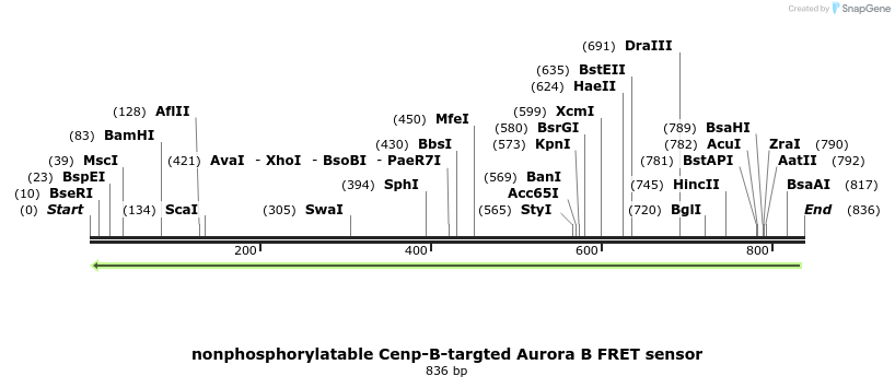 64589_map