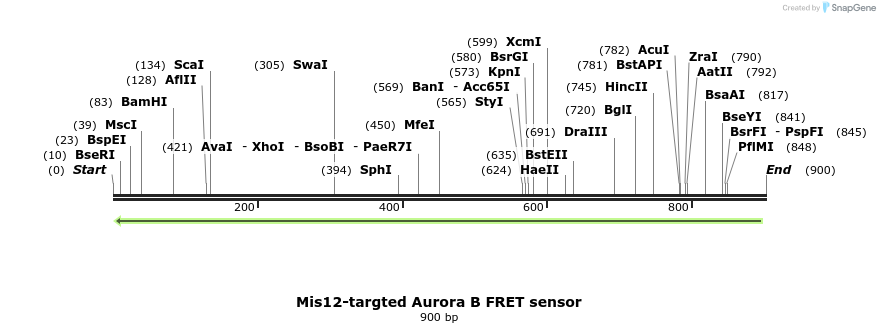 64591_map