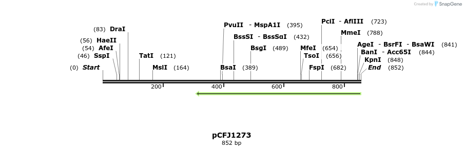 64592_map