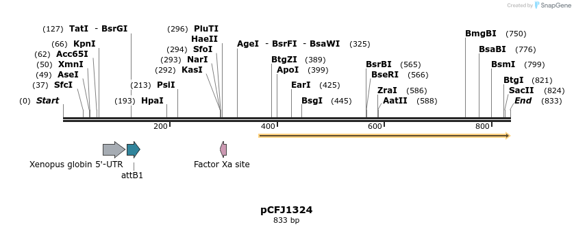 64593_map