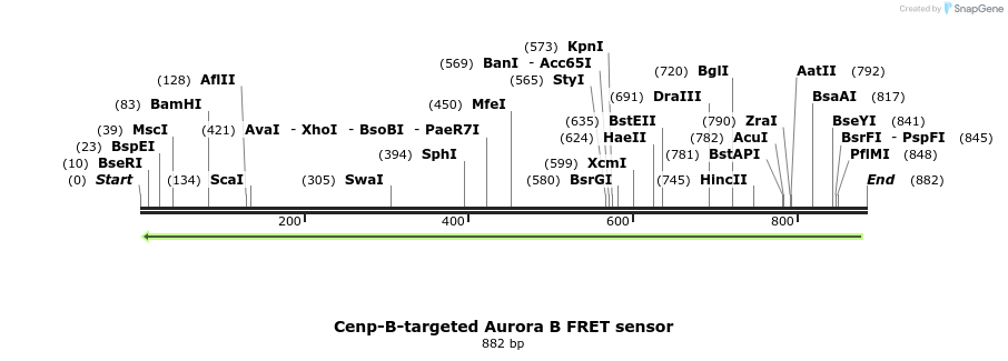 64594_map