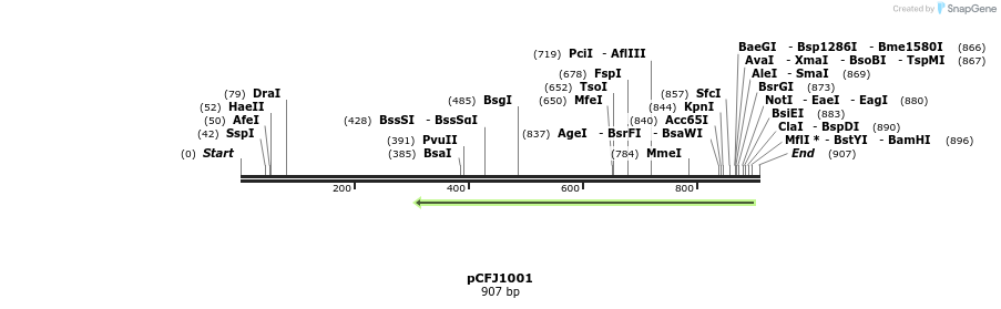 64598_map