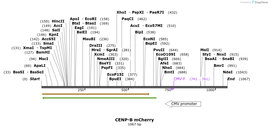 64599_map