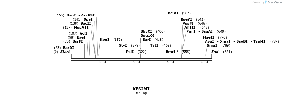 64605_map
