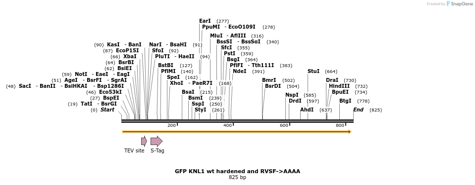 64608_map