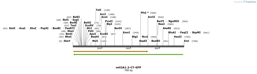64610_map