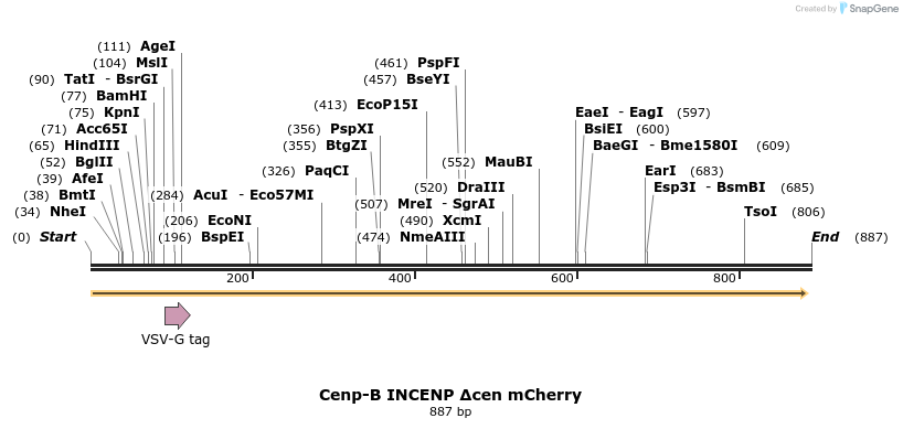 64613_map