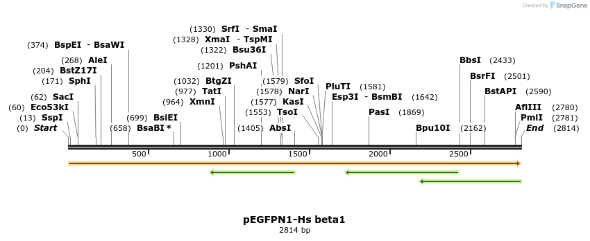 64616_map