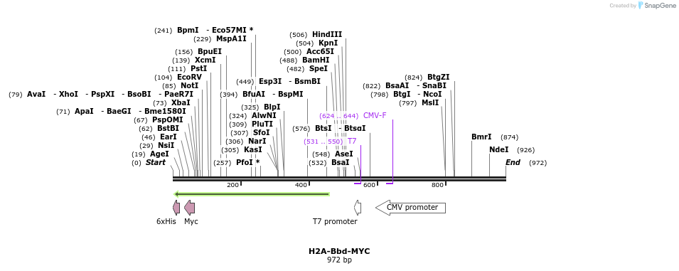 64617_map