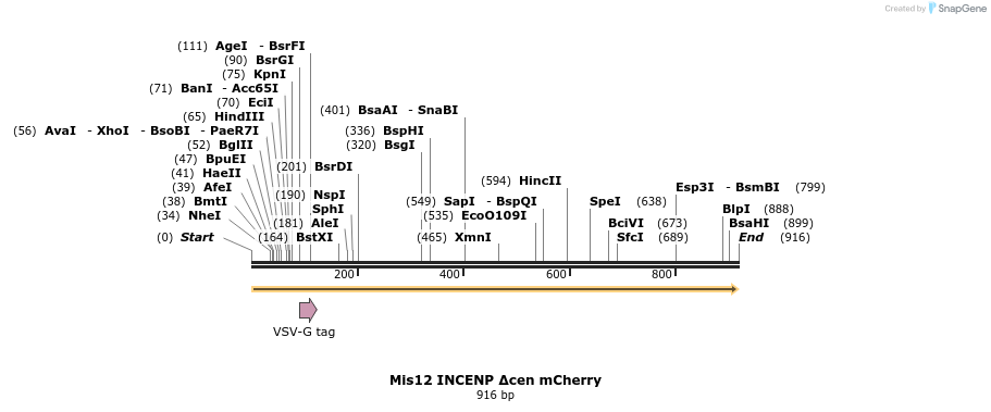 64619_map