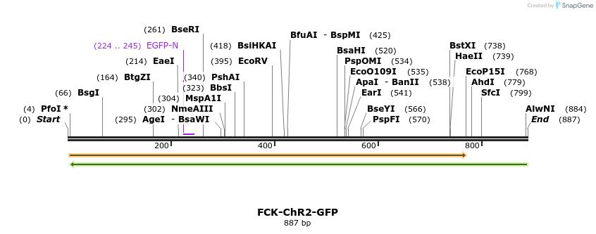 64633_map