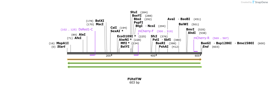 64636_map