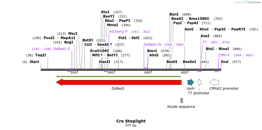 64662_map