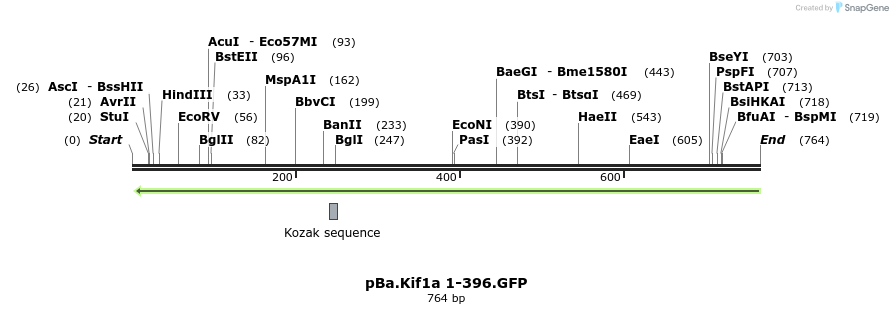 64664_map