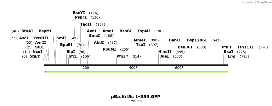 64665_map