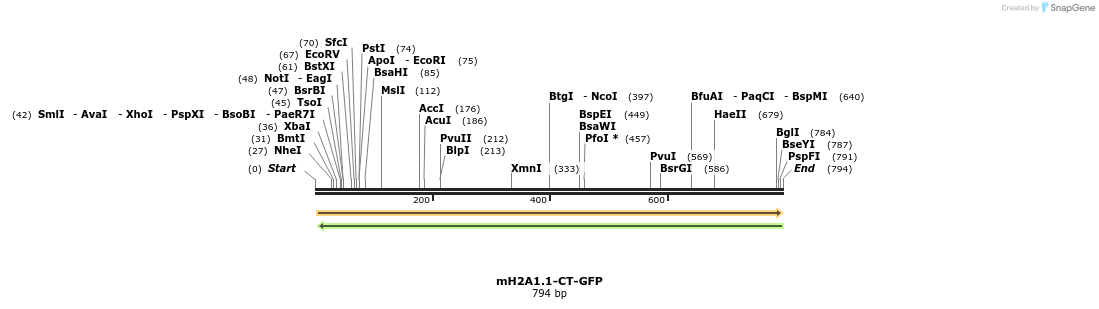 64673_map