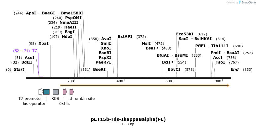 64677_map