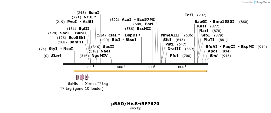 64681_map