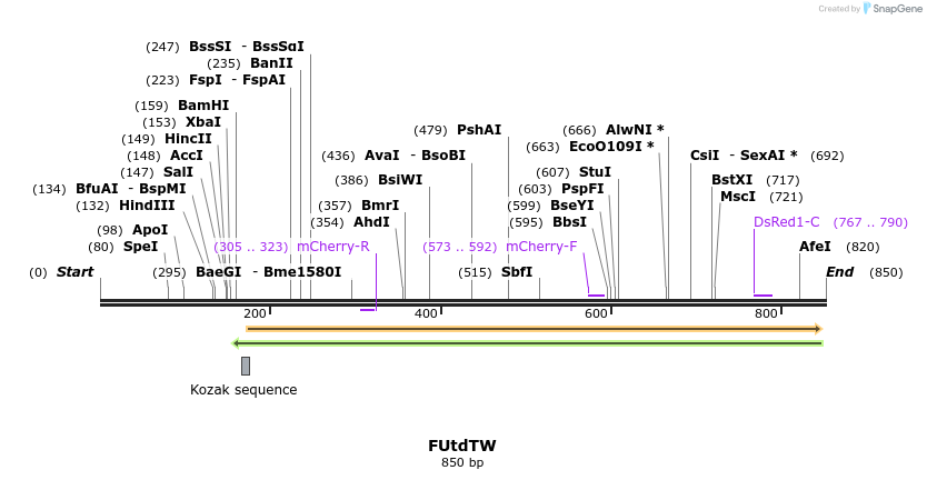 64684_map