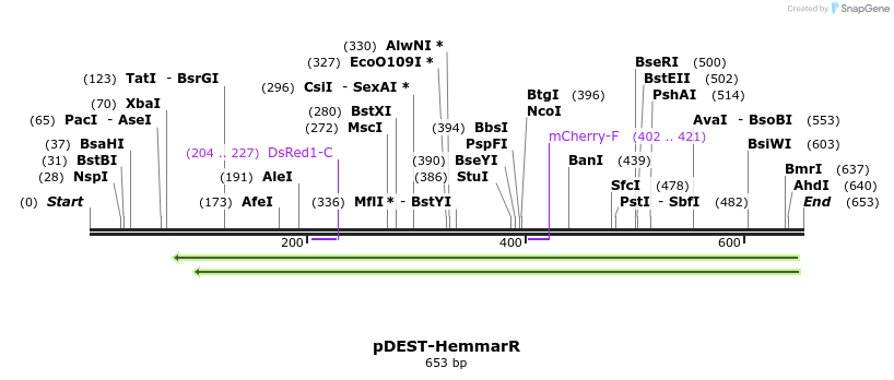 64691_map